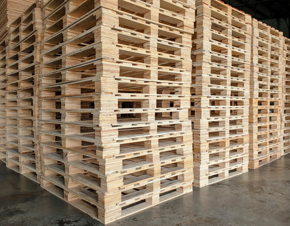 Compro pallets usati